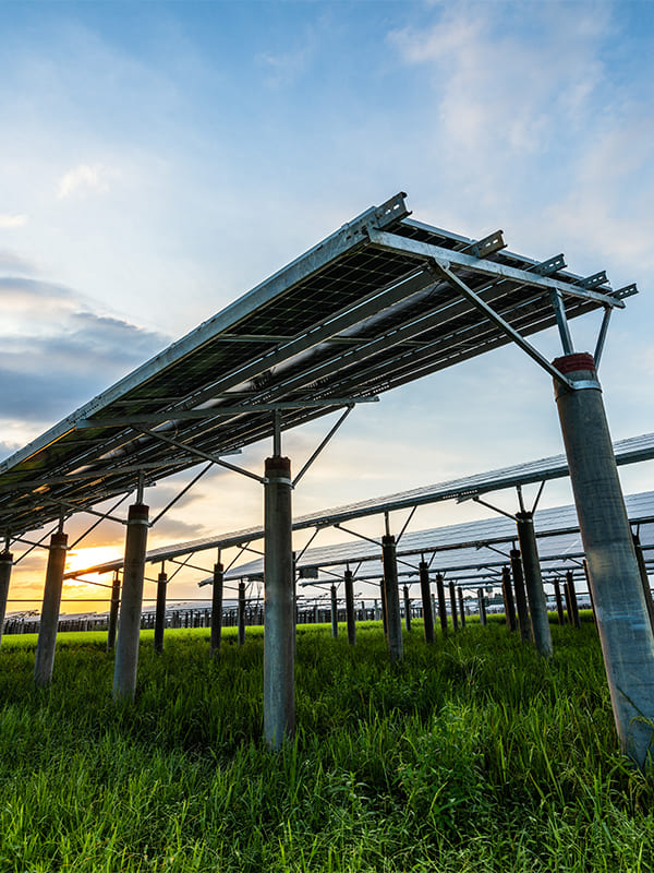 Solar Power Plant